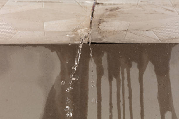 Professional Water Extraction technician working in Breckenridge, MI